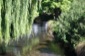 Avon River